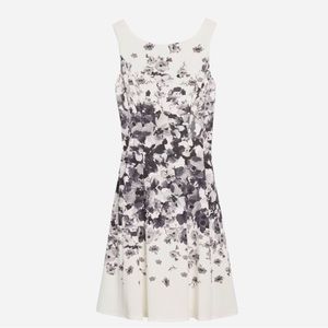 Maggy London Ellington Dress